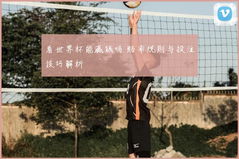 看世界杯能赢钱吗 赔率规则与投注技巧解析