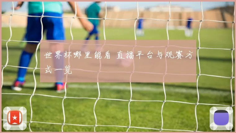 世界杯哪里能看 直播平台与观赛方式一览