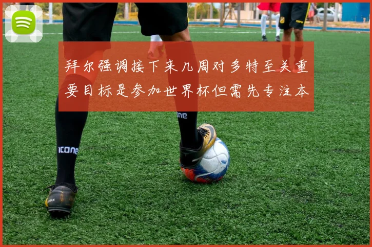 拜尔强调接下来几周对多特至关重要目标是参加世界杯但需先专注本赛季表现