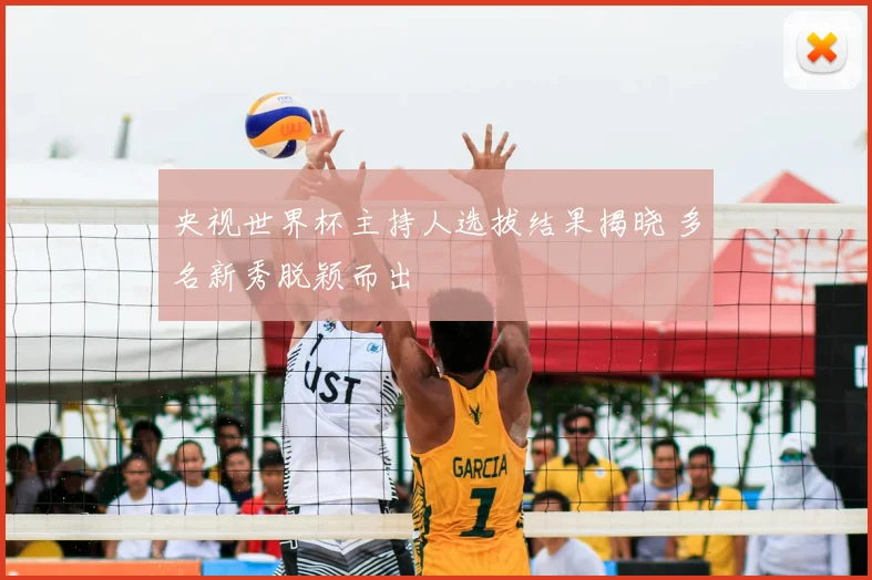 央视世界杯主持人选拔结果揭晓 多名新秀脱颖而出