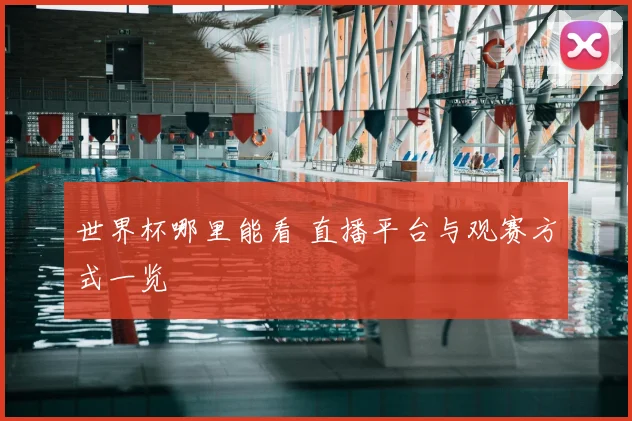 世界杯哪里能看 直播平台与观赛方式一览