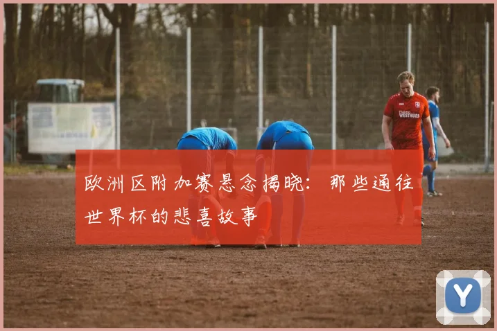 欧洲区附加赛悬念揭晓：那些通往世界杯的悲喜故事