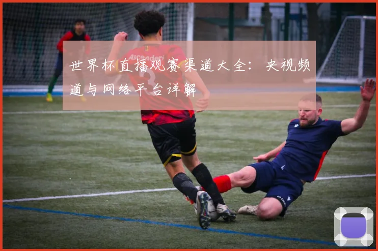 世界杯直播观赛渠道大全：央视频道与网络平台详解