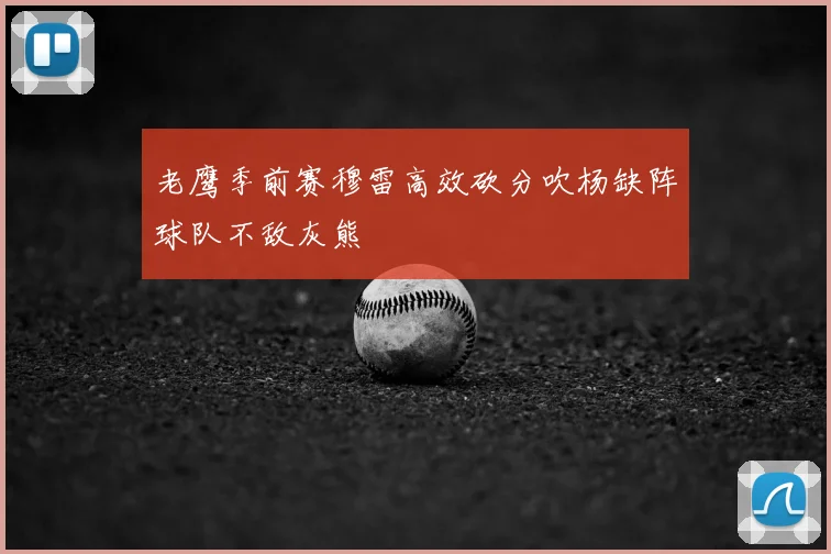 老鹰季前赛穆雷高效砍分吹杨缺阵球队不敌灰熊