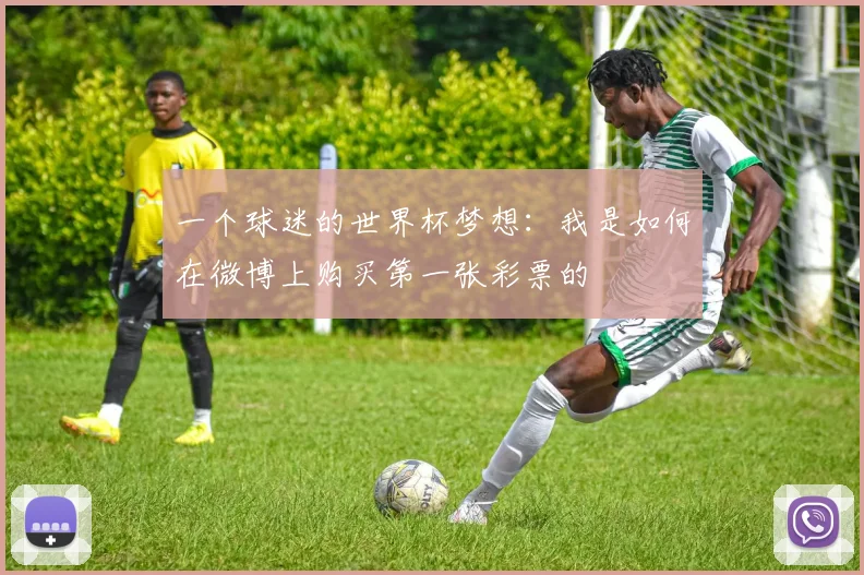 一个球迷的世界杯梦想：我是如何在微博上购买第一张彩票的