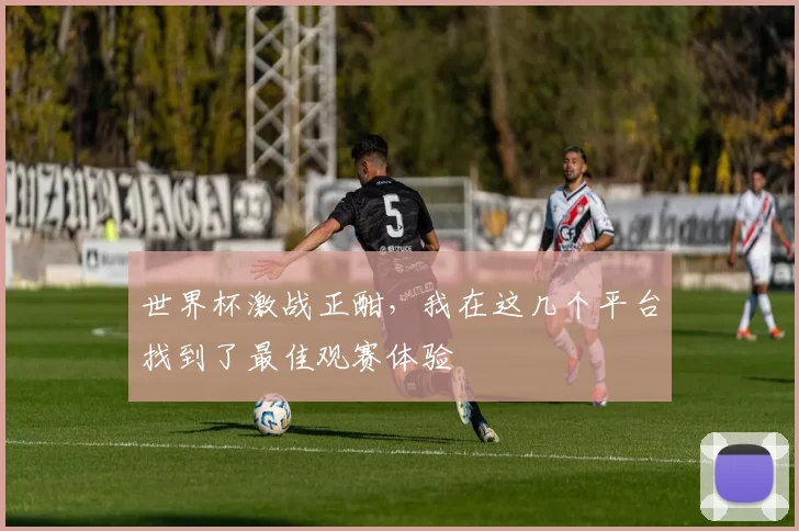 世界杯激战正酣，我在这几个平台找到了最佳观赛体验