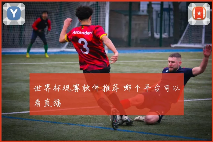 世界杯观赛软件推荐 哪个平台可以看直播