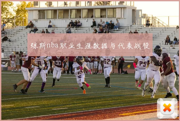 琼斯nba职业生涯数据与代表战役