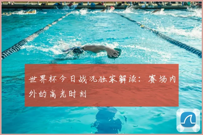 世界杯今日战况独家解读：赛场内外的高光时刻