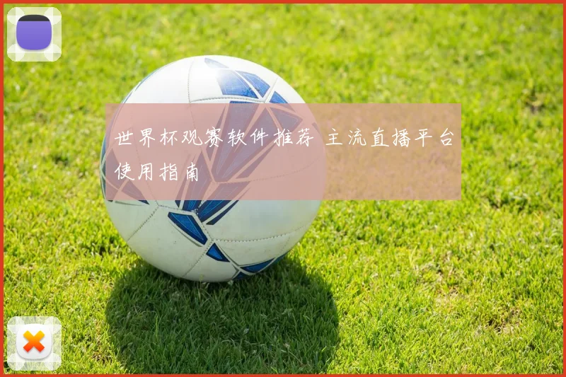 世界杯观赛软件推荐 主流直播平台使用指南
