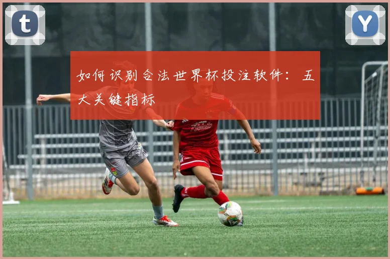 如何识别合法世界杯投注软件：五大关键指标