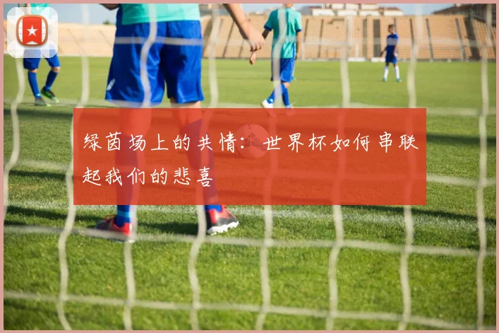 绿茵场上的共情：世界杯如何串联起我们的悲喜