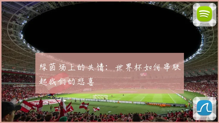 绿茵场上的共情：世界杯如何串联起我们的悲喜