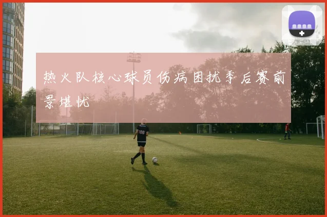 热火队核心球员伤病困扰季后赛前景堪忧