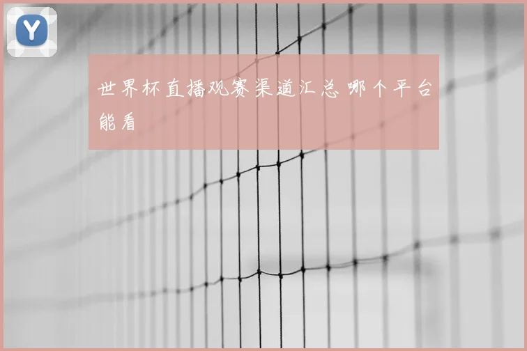 世界杯直播观赛渠道汇总 哪个平台能看