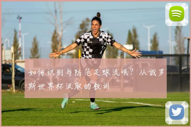 如何识别与防范足球流氓？从俄罗斯世界杯汲取的教训