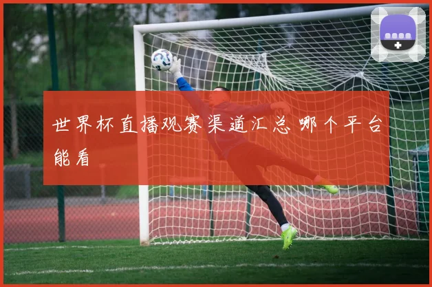 世界杯直播观赛渠道汇总 哪个平台能看