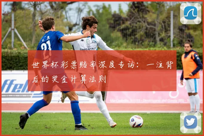 世界杯彩票赔率深度专访：一注背后的奖金计算法则