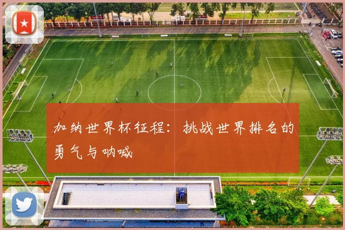 加纳世界杯征程：挑战世界排名的勇气与呐喊